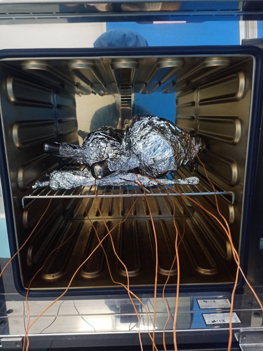 Hot Air Oven Validation
